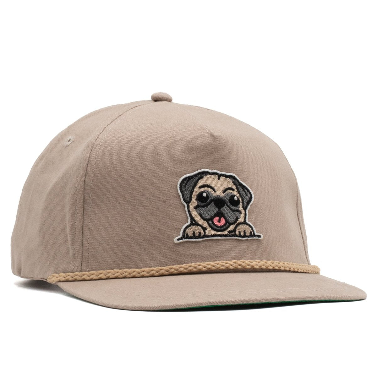 Pug