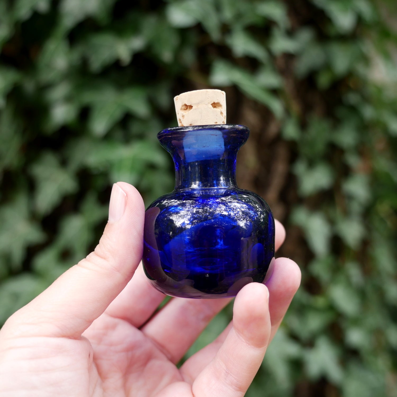Small Glass Bottle 2 Small Glass Bottle