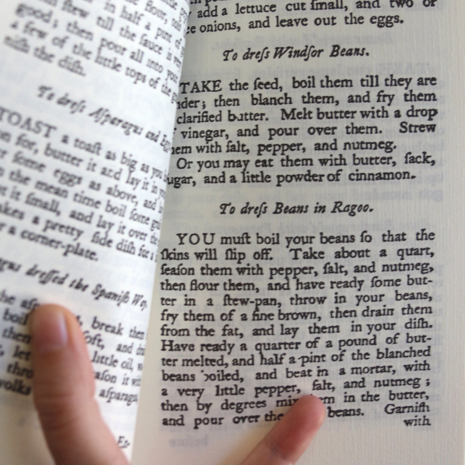Primitive Cookery Book 5 Primitive Cookery Book