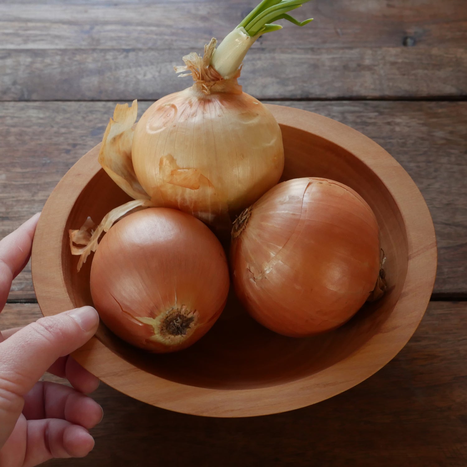 Wooden Bowl - Oiled 3 Wooden Bowl - Oiled