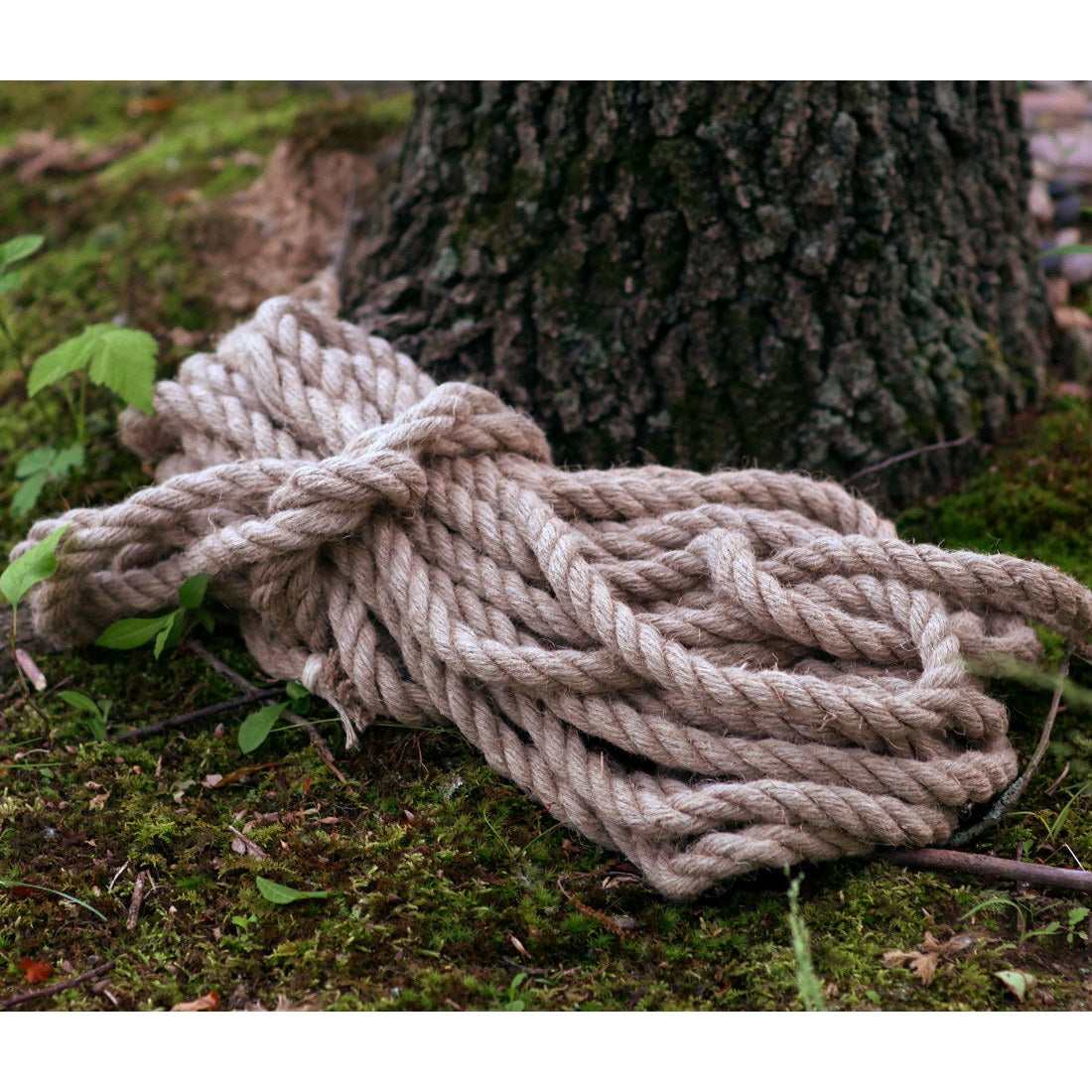 Heavy Hemp Rope 2 Heavy Hemp Rope